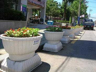 자양1동 주민센터 앞 꽃묘 식재